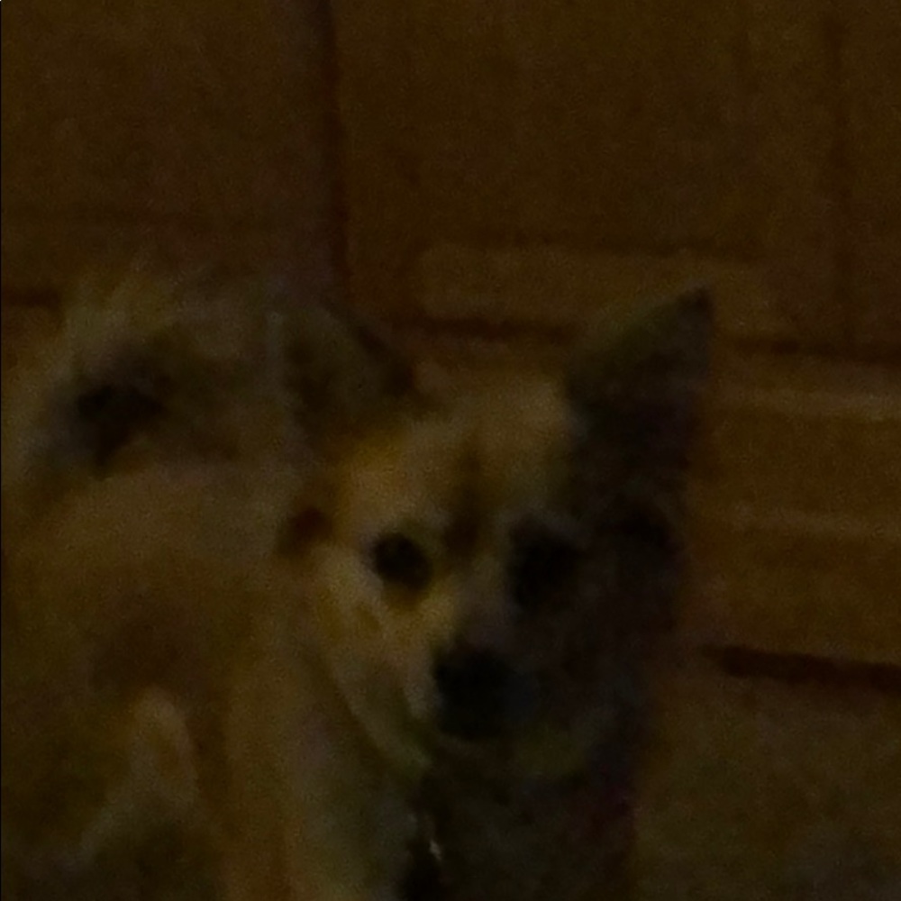 Meet your Posher, Becky